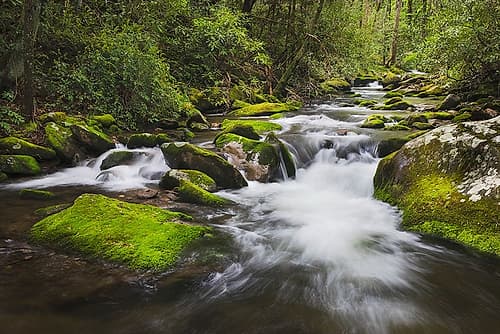 Cascading mountain stream-Great Smoky Mountains National Park-Tennessee-North Carolina Art Print